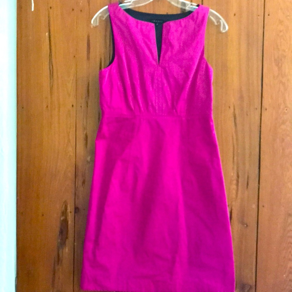 Theory Dress